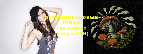 винт Медвежьегорск
